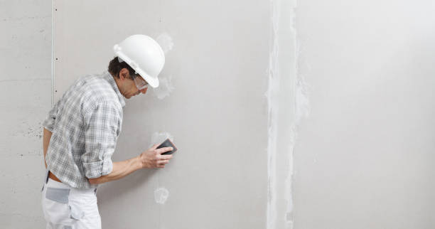 Best Water Damage & Mold Remediation  in Lochearn, MD