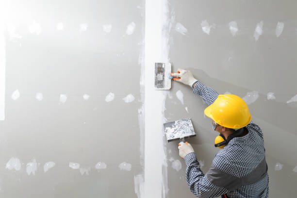 Best Industrial Mold Remediation  in Lochearn, MD