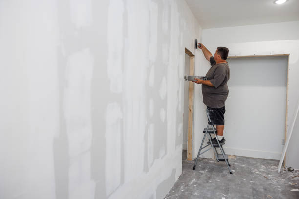 Best Attic Mold Removal  in Lochearn, MD