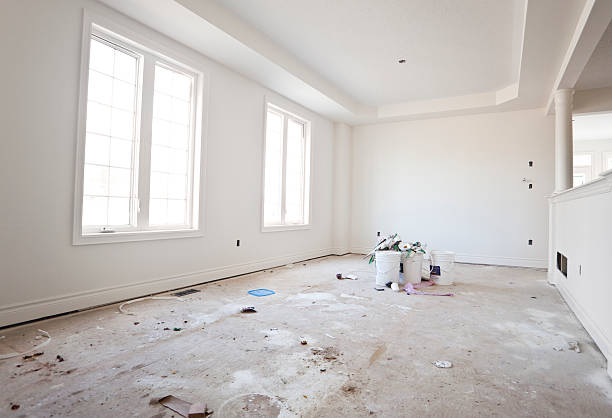 Best Mold Odor Removal Services  in Lochearn, MD